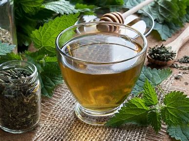 Why I drink nettle tea (and its many health benefits)