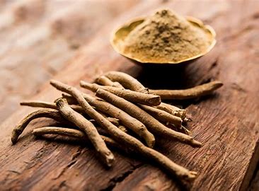 Why Ashwagandha tea could be your key to good health